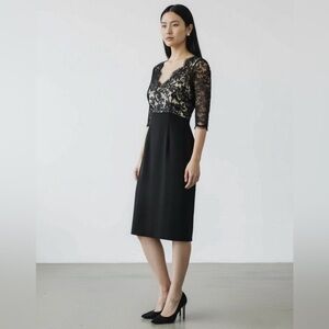 Elegant Black Lace Dress